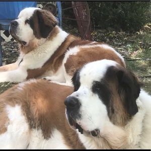 Meet your Posher, Shawnda